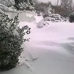 Villa синя иглика