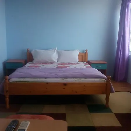 синя иглика Kosharitsa