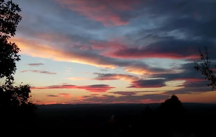 синя иглика Villa Kosharitsa